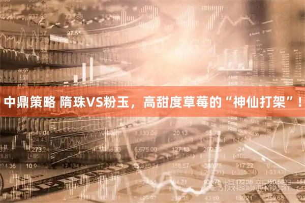 中鼎策略 隋珠VS粉玉，高甜度草莓的“神仙打架”！