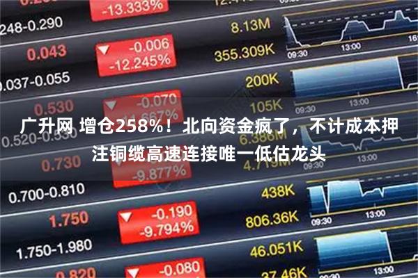 广升网 增仓258%！北向资金疯了，不计成本押注铜缆高速连接唯一低估龙头