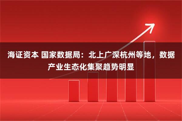 海证资本 国家数据局：北上广深杭州等地，数据产业生态化集聚趋势明显